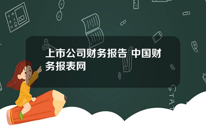 上市公司财务报告 中国财务报表网